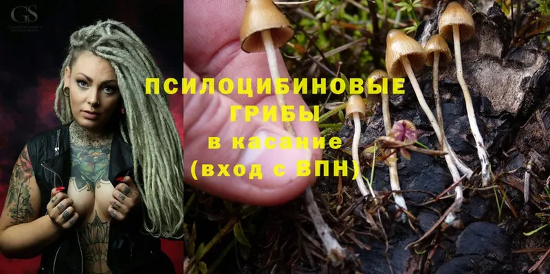 Галлюциногенные грибы Cubensis  Белинский 